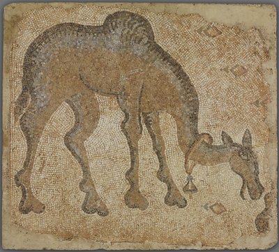 Mozaïekfragment met grazende kameel door Byzantine