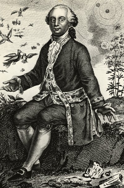Portret van Georges-Louis Leclerc de Buffon (1707-1788), Franse natuurkundige en wiskundige, gravure door J.B. and Brown J. Rowbotham