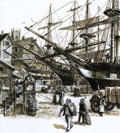 Ontdek onze steden: De stad die een provincie werd (Bristol) door C.L. Doughty