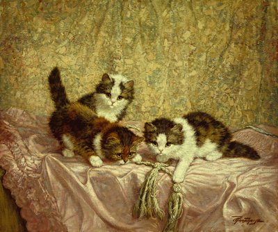 Speelse kittens (olieverf op doek) door C. Raaphorst