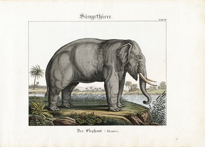  door C. Steglich