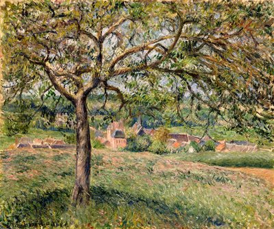 Appelboom in Eragny, 1884 door Camille Jacob Pissarro