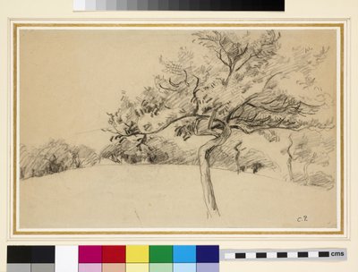 Studie van de boomgaard in Eragny-sur-Epte met een boom op de voorgrond door Camille Jacob Pissarro