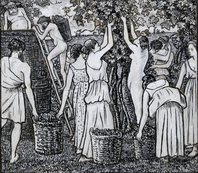 Druivenoogst, compositiestudie voor een illustratie bij 