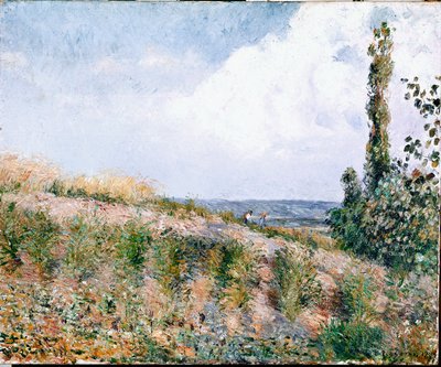 Landschap door Camille Jacob Pissarro