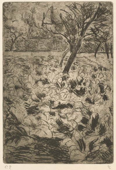 Het koolveld door Camille Pissarro