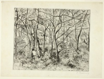 Bosgebied bij de Hermitage door Camille Pissarro