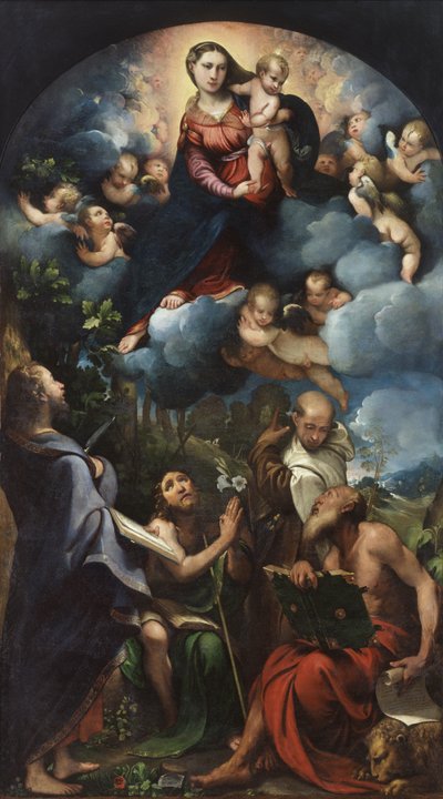 Madonna en Kind in Glorie met St. Bartholomeus, St. Johannes de Doper, St. Albertus en St. Hiëronymus door Camillo Boccaccino