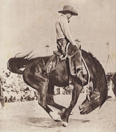 Cowboy rijdt op een bronco (z/w foto) door Canadian Photographer
