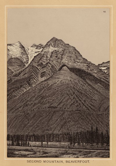 Canada: Second Mountain, Beaverfoot door Canadian School