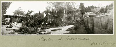 Tuin van Gethsemane, 14 december 1917 door Capt. Arthur Rhodes