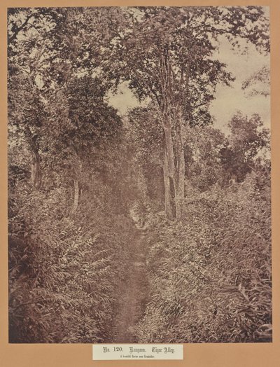 Nr. 120. Rangoon. Tijgerstraat door Capt. Linnaeus Tripe