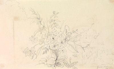 Schets van Planten en een Mijlpaal uit de Natuur, 3 juni 1826 door Capt. Thomas Hastings