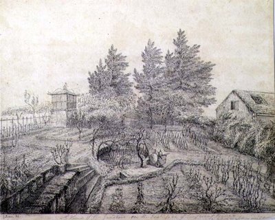 Een uitzicht op de tuinen van Napoleon I aan de oostkant van Longwood House door Captain G. Rotton
