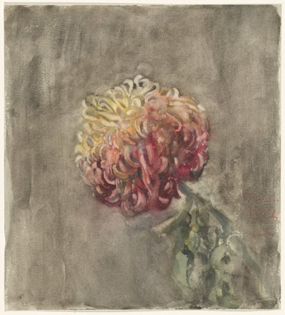 Rode chrysant door Carel Adolph Lion Cachet