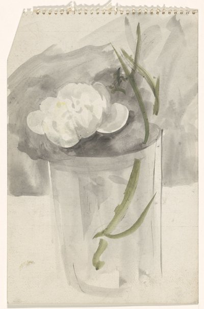 Witte bloem in een glas door Carel Adolph Lion Cachet