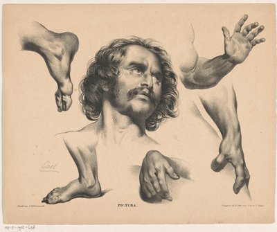 Hoofd van een man, voeten, handen en armen door Carel Christiaan Antony Last