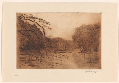 Vijver in het Haagse Bos door Carel Nicolaas Storm van 