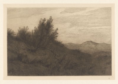Duinlandschap door Carel Nicolaas Storm van 