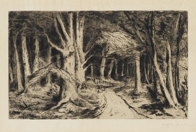Bosweg door Carel Nicolaas Storm van s Gravesande
