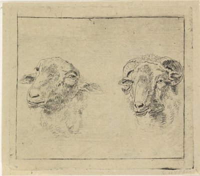 Kop van een ram en kop van een schaap door Carel Webbers