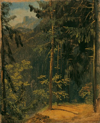 Bosweg in de Harz door Carl Blechen