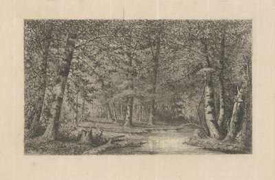 Beukenbos door Carl C. Brenner