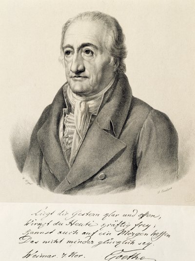 Portret van Johann Wolfgang von Goethe door Carl Christian Vogel von Vogelstein
