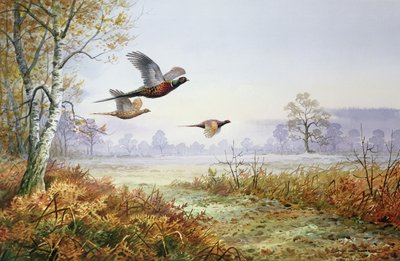Fazanten in vlucht door Carl Donner