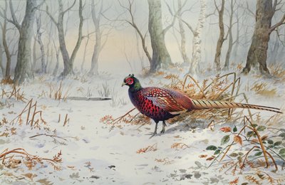 Fazanten in de sneeuw door Carl Donner