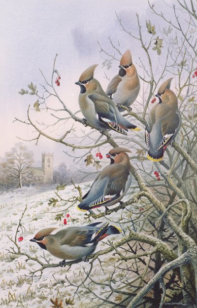Pestvogels door Carl Donner