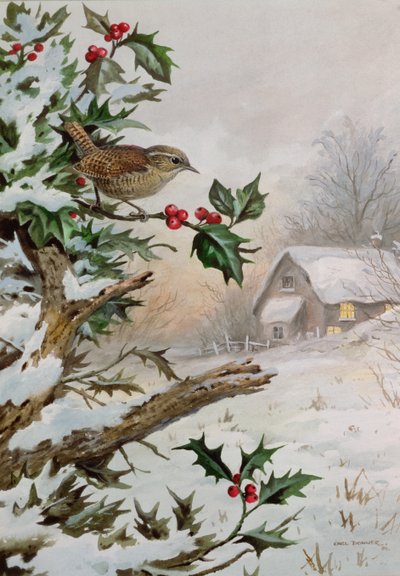 Winterkoninkje in hulststruik bij een huisje door Carl Donner