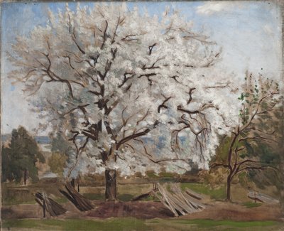 Appelboom in Bloei door Carl Fredrik Hill