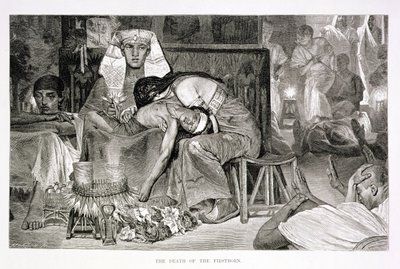 De dood van de eerstgeborene, 19e eeuw door Carl Friedrich Heinrich Werner