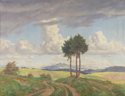 Landweg door Carl Gödel