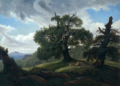 Herinnering aan een bebost eiland in de Oostzee Eikenbomen aan zee, 1835 door Carl Gustav Carus