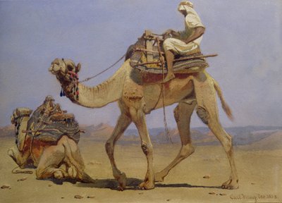 Kameel Bereidt zich voor om te gaan liggen, 1858 door Carl Haag