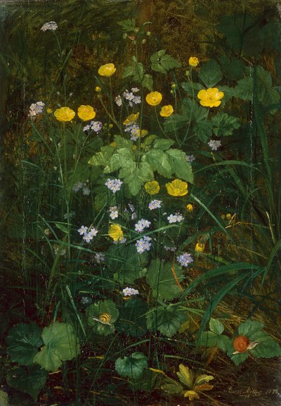 Boterbloemen en Vergeet-mij-nietjes op een Bosvloer door Carl Henrik Koch Moller