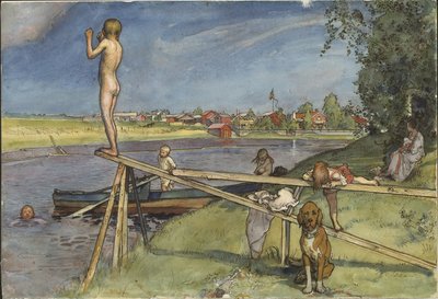  door Carl Larsson