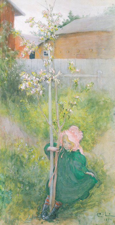 Appelbloesem, 1894 door Carl Larsson