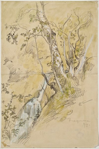  door Carl Larsson