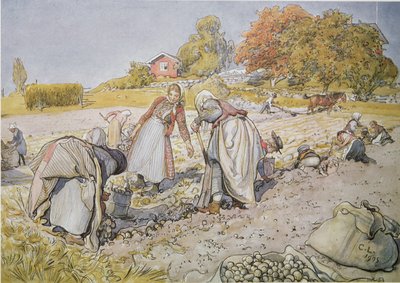 Aardappels rooien door Carl Larsson