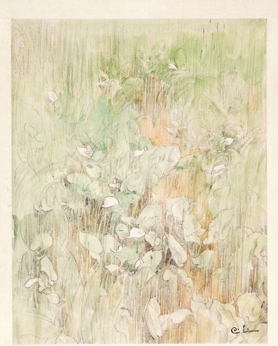 Kallor door Carl Larsson