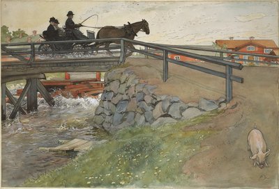  door Carl Larsson