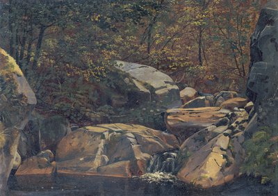 Bosbeek (Waterval tussen rotsblokken) door Carl Morgenstern
