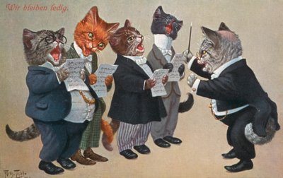Humoristische katten ansichtkaart door Carl Robert Arthur Thiele