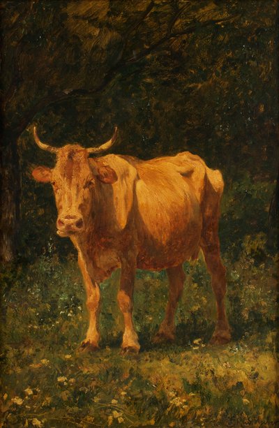Lichtbruine Koe door Carl Rudolf Huber