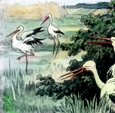 Wilhelm Hauff - Sprookjes - Kalief Ooievaar. Beeld datum circa 1910. Carl Simon Archief door Carl Simon
