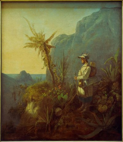 De Natuuronderzoeker in de Tropen door Carl Spitzweg