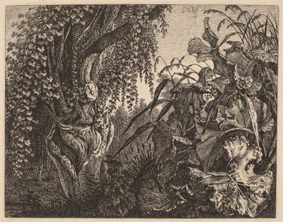 Een struikgewas; een knoestige wilg links, een struikgewas rechts door Carl Wilhelm Kolbe
